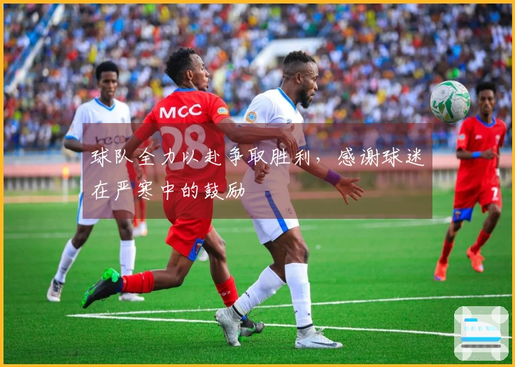 球队全力以赴争取胜利，感谢球迷在严寒中的鼓励