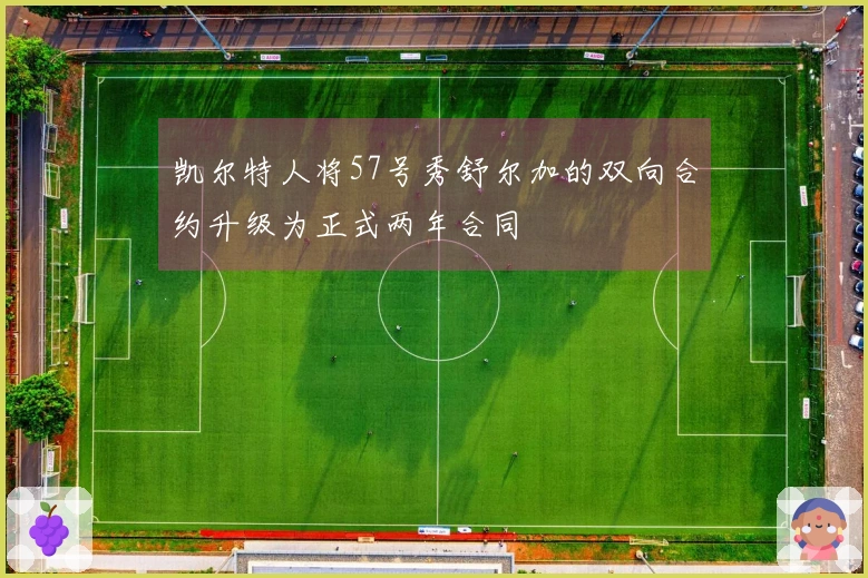 凯尔特人将57号秀舒尔加的双向合约升级为正式两年合同